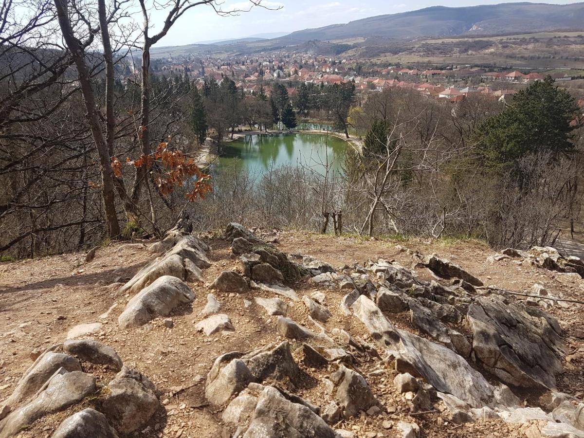 Ket Diofa Vendeghaz 호텔 Felsőtárkány 외부 사진